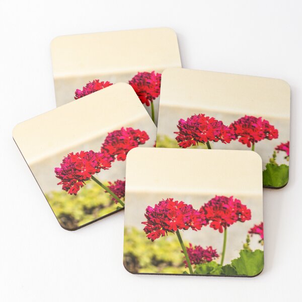 Item preview, Close-up red geranium flowers in a sunny garden with green leaves and soft background bokeh designed and sold by Nmallia.