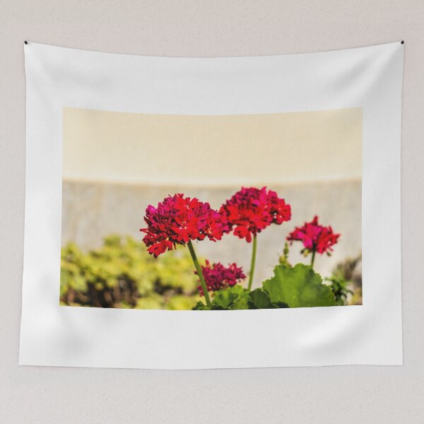 Item preview, Close-up red geranium flowers in a sunny garden with green leaves and soft background bokeh designed and sold by Nmallia.