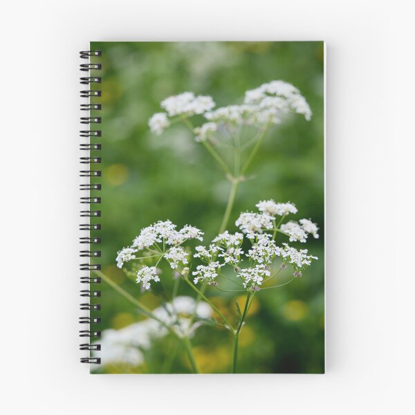 Item preview, Wild chervil . Cow Parsley designed and sold by Jouko Lehto Photography.