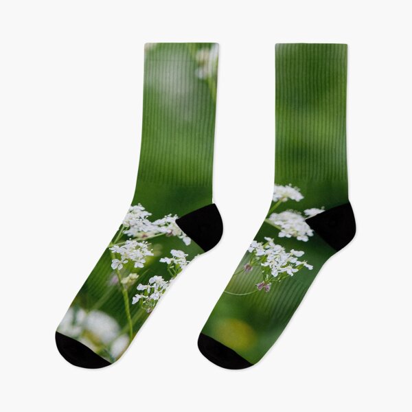 Item preview, Wild chervil . Cow Parsley designed and sold by Jouko Lehto Photography.