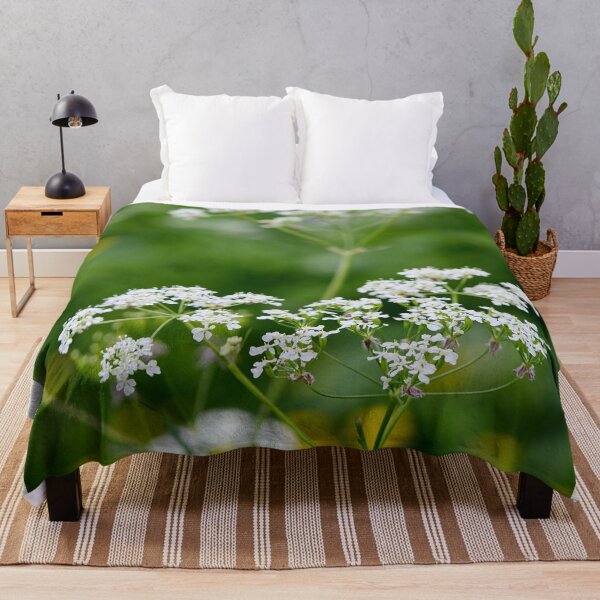 Item preview, Wild chervil . Cow Parsley designed and sold by Jouko Lehto Photography.