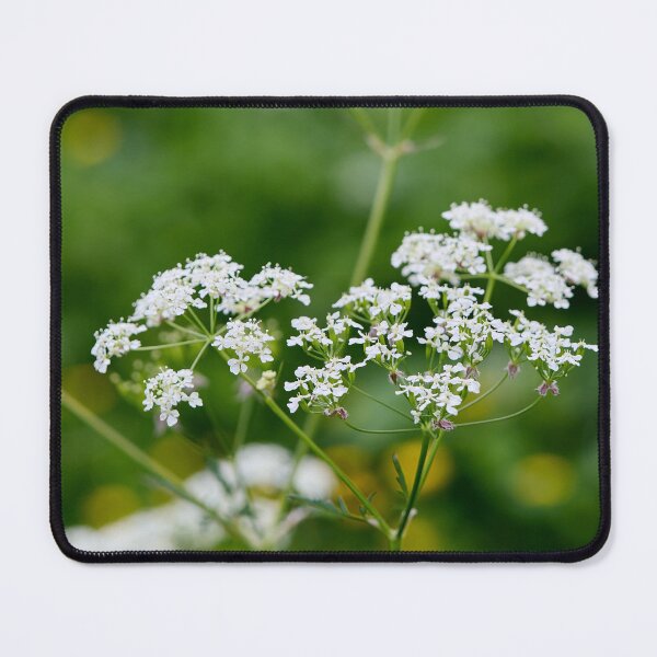 Item preview, Wild chervil . Cow Parsley designed and sold by Jouko Lehto Photography.