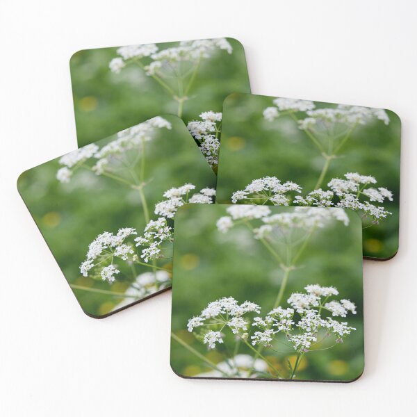 Item preview, Wild chervil . Cow Parsley designed and sold by Jouko Lehto Photography.