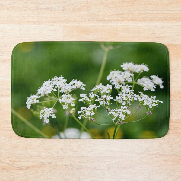 Item preview, Wild chervil . Cow Parsley designed and sold by Jouko Lehto Photography.