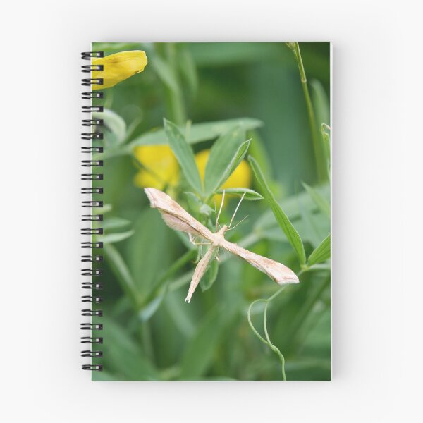 Item preview, Strange. Yarrow Plume designed and sold by Jouko Lehto Photography.