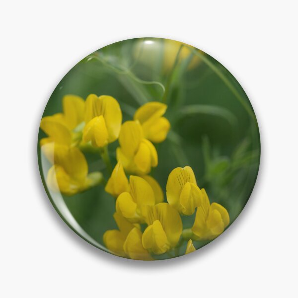 Item preview, Beautiful yellow. Meadow Vetchling designed and sold by Jouko Lehto Photography.