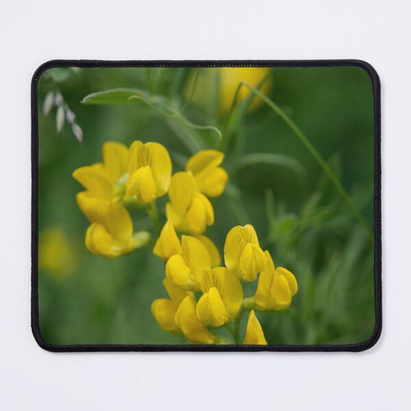 Item preview, Beautiful yellow. Meadow Vetchling designed and sold by Jouko Lehto Photography.