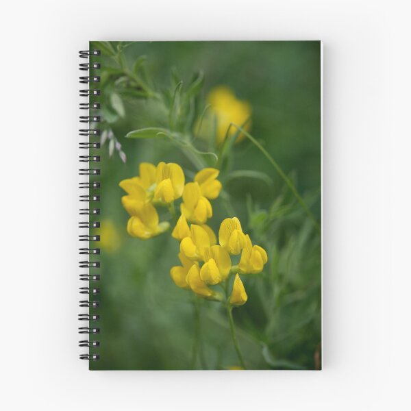 Item preview, Beautiful yellow. Meadow Vetchling designed and sold by Jouko Lehto Photography.