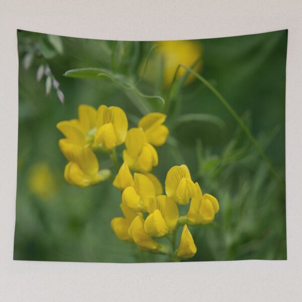 Item preview, Beautiful yellow. Meadow Vetchling designed and sold by Jouko Lehto Photography.