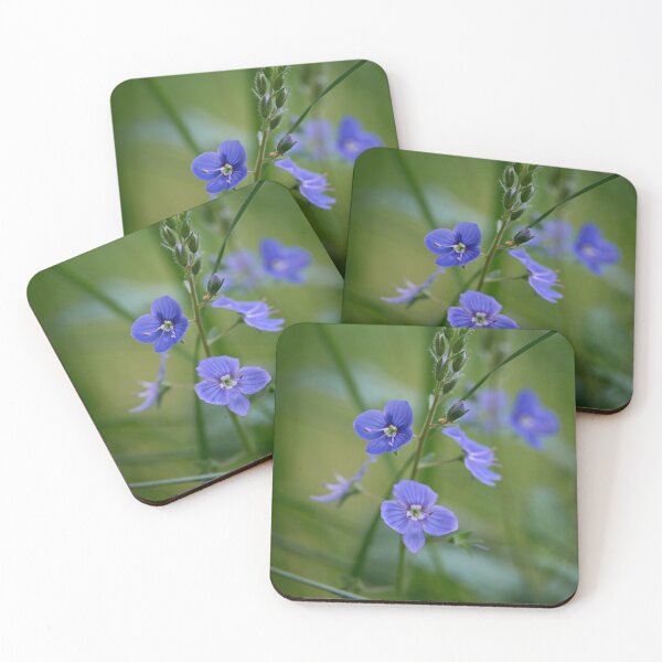 Item preview, Small and blue. Germander Speedwell designed and sold by Jouko Lehto Photography.