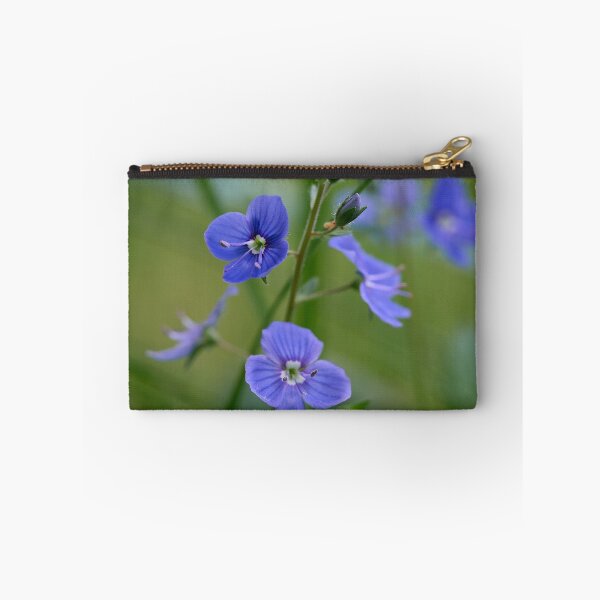 Item preview, Small and blue. Germander Speedwell designed and sold by Jouko Lehto Photography.