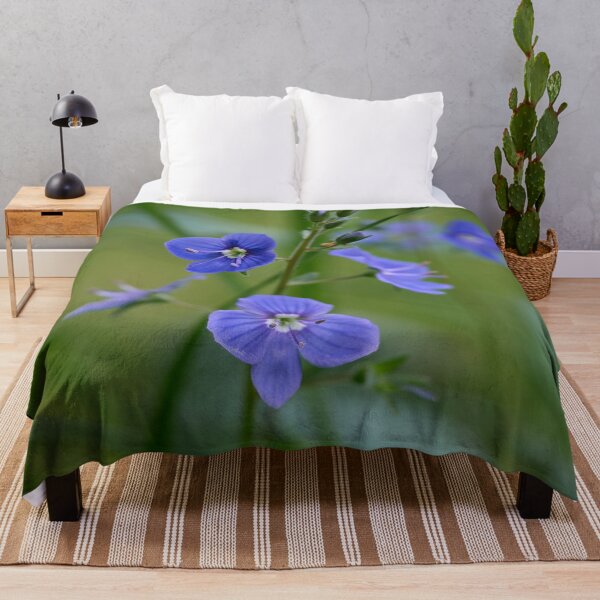 Item preview, Small and blue. Germander Speedwell designed and sold by Jouko Lehto Photography.