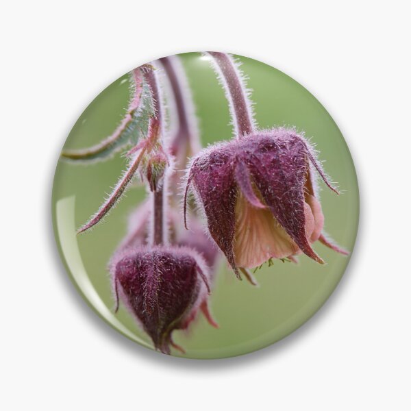 Item preview, The balls. Water Avens designed and sold by Jouko Lehto Photography.