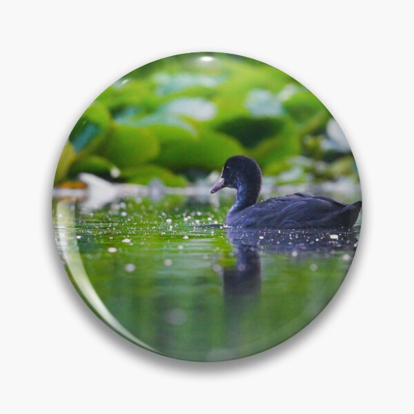 Item preview, Coot on a green lake  designed and sold by noahjpphotos.