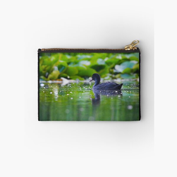 Item preview, Coot on a green lake  designed and sold by noahjpphotos.