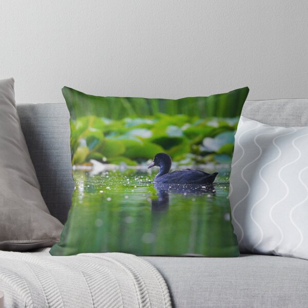 Item preview, Coot on a green lake  designed and sold by noahjpphotos.