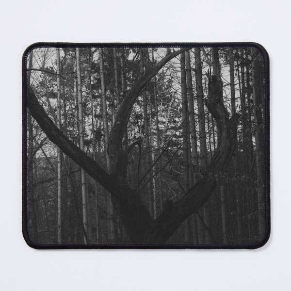 Item preview, Ancient Gnarly Tree in Dark Forest designed and sold by EllenNortt.