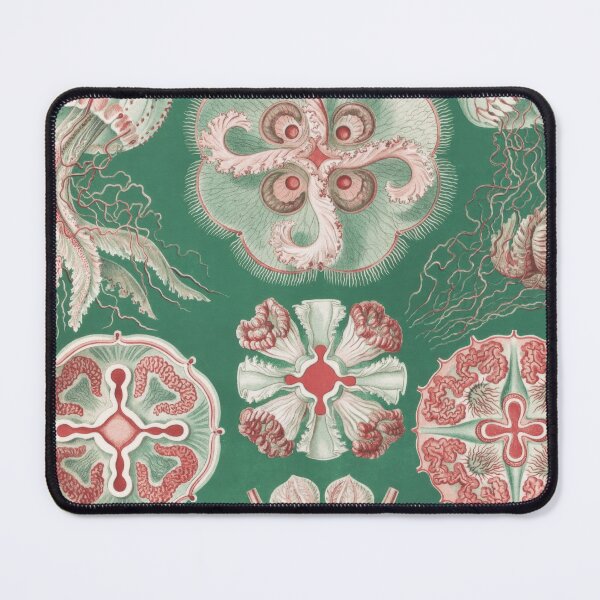 Item preview, Ernst Haeckel Jellyfish Vintage Natural History Print designed and sold by MarkedArtPrints.