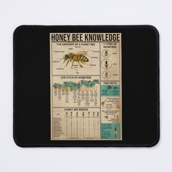 Item preview, Honey Bee Knowledge Anatomy Life Cycle Breeds Educational Poster Beekeeper Gift designed and sold by scrambledpeg.