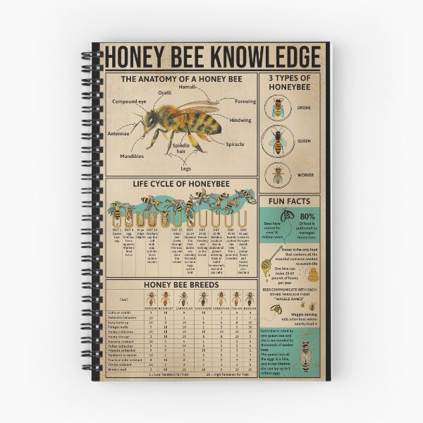 Item preview, Honey Bee Knowledge Anatomy Life Cycle Breeds Educational Poster Beekeeper Gift designed and sold by scrambledpeg.