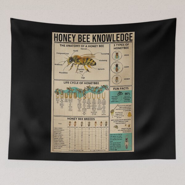 Item preview, Honey Bee Knowledge Anatomy Life Cycle Breeds Educational Poster Beekeeper Gift designed and sold by scrambledpeg.