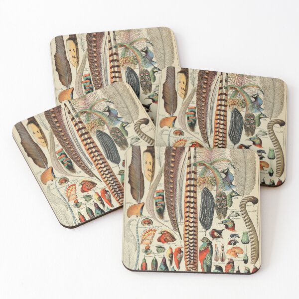 Item preview, Feathers Vintage Natural History Illustration Print designed and sold by MarkedArtPrints.