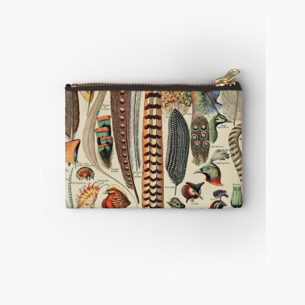 Item preview, Feathers Vintage Natural History Illustration Print designed and sold by MarkedArtPrints.