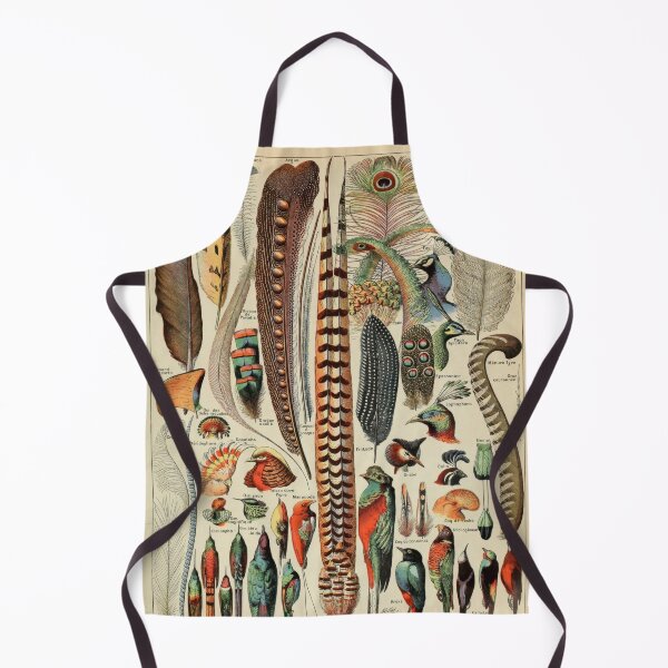 Item preview, Feathers Vintage Natural History Illustration Print designed and sold by MarkedArtPrints.