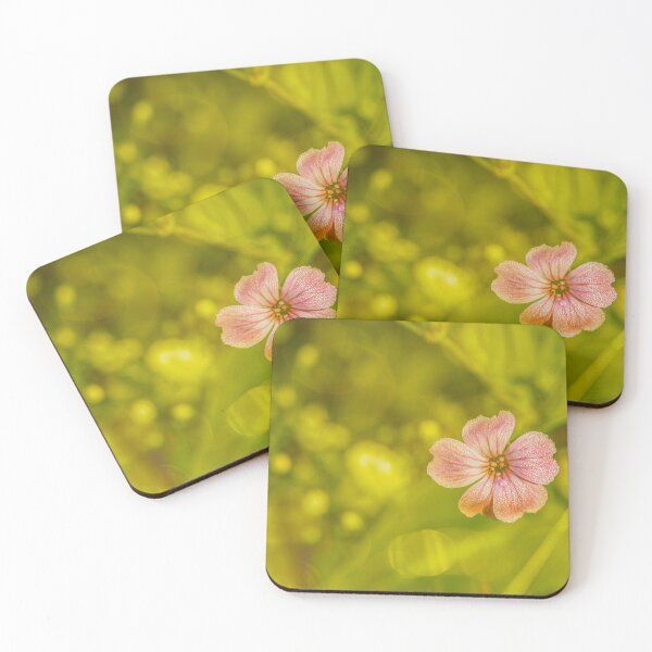 Item preview, Dewy Pink Flower in Sunlight designed and sold by Veikko Suikkanen.