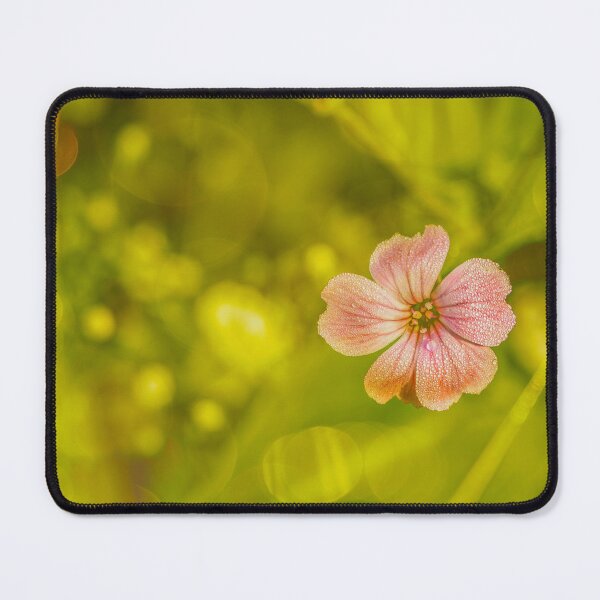 Item preview, Dewy Pink Flower in Sunlight designed and sold by Veikko  Suikkanen.