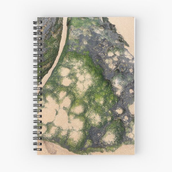 Item preview, Textured Mottled Moss Rocks Toowoon Bay designed and sold by lyndseyart.
