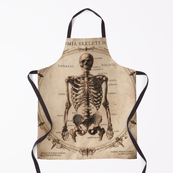 Item preview, T-Shirt - Sticker - Anatomia Skeletti Humani: 18th‑Century Study designed and sold by ForeverPrintsOK.