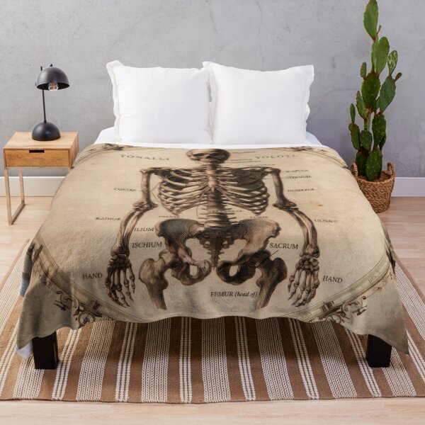 Item preview, T-Shirt - Sticker - Anatomia Skeletti Humani: 18th‑Century Study designed and sold by ForeverPrintsOK.