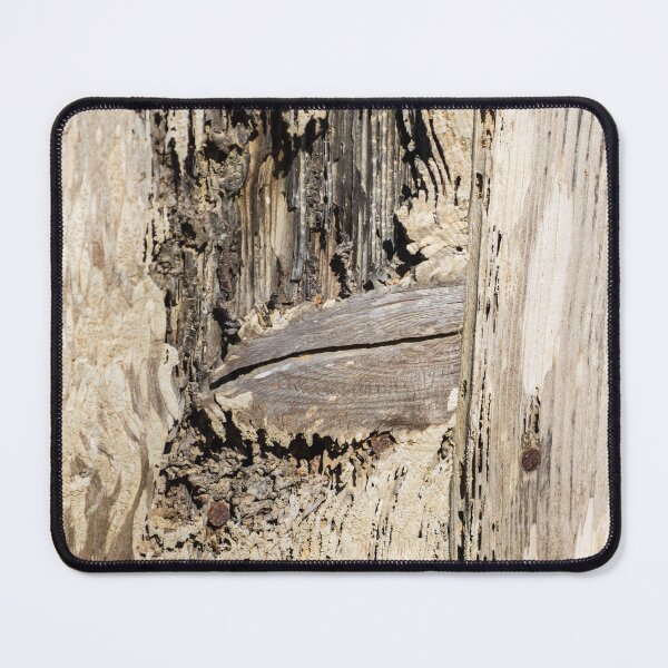 Item preview, Weathered Wood Texture With Rot and Old Nail Close-Up Showing Decay and Natural Grain Patterns designed and sold by Nmallia.