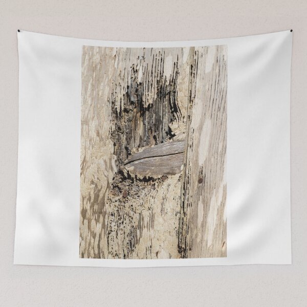 Item preview, Weathered Wood Texture With Rot and Old Nail Close-Up Showing Decay and Natural Grain Patterns designed and sold by Nmallia.