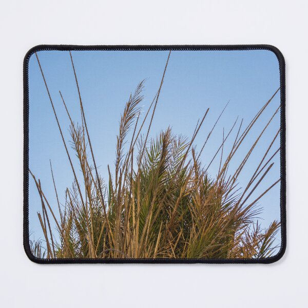 Item preview, Palm Tree Crown Against Clear Blue Sky With Dry Fronds and Tropical Foliage Detail designed and sold by Nmallia.