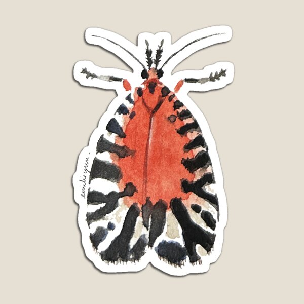 Item preview, Moth designed and sold by emilieyun.
