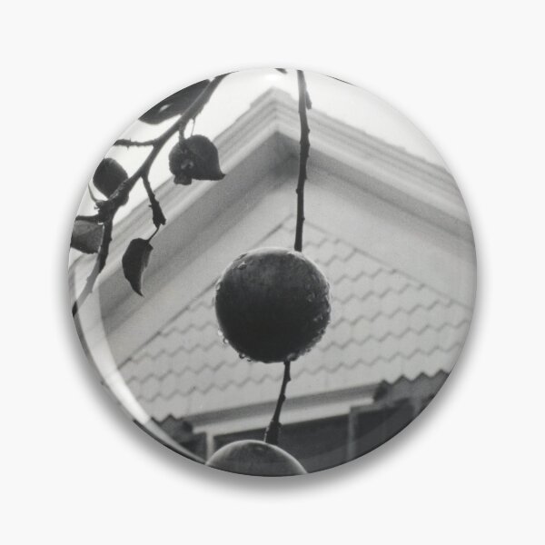 Item preview, Gable and Apples vintage 1922 farmhouse black and white photographic art print by Alfred Stieglitz designed and sold by Astrid Arkhangelsky.