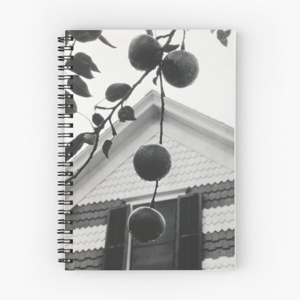 Item preview, Gable and Apples vintage 1922 farmhouse black and white photographic art print by Alfred Stieglitz designed and sold by Astrid Arkhangelsky.