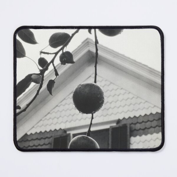 Item preview, Gable and Apples vintage 1922 farmhouse black and white photographic art print by Alfred Stieglitz designed and sold by Astrid Arkhangelsky.