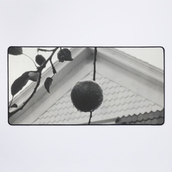 Item preview, Gable and Apples vintage 1922 farmhouse black and white photographic art print by Alfred Stieglitz designed and sold by Astrid Arkhangelsky.