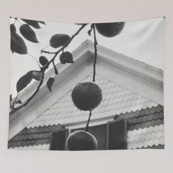Item preview, Gable and Apples vintage 1922 farmhouse black and white photographic art print by Alfred Stieglitz designed and sold by Astrid Arkhangelsky.