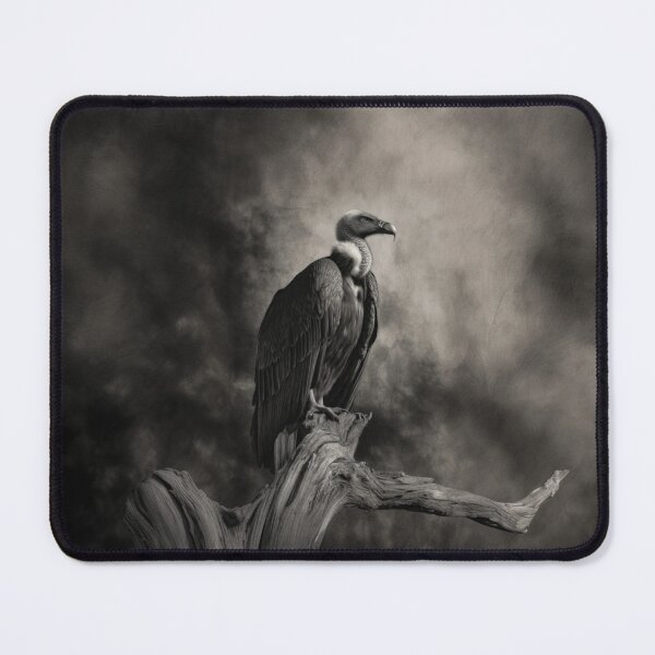 Item preview, A Vulture resting on deadwood, Birds in Motion designed and sold by CDC40.