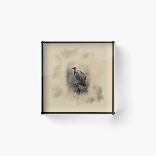 Item preview, A Vulture resting on deadwood, Birds in Motion designed and sold by CDC40.