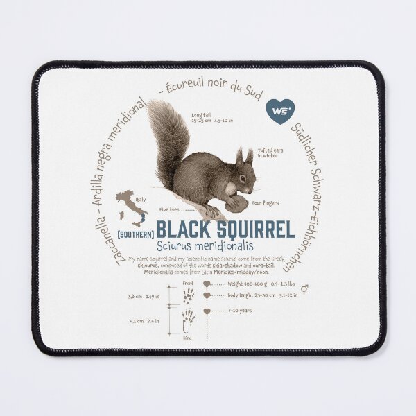 Item preview, black squirrel designed and sold by waldraws.