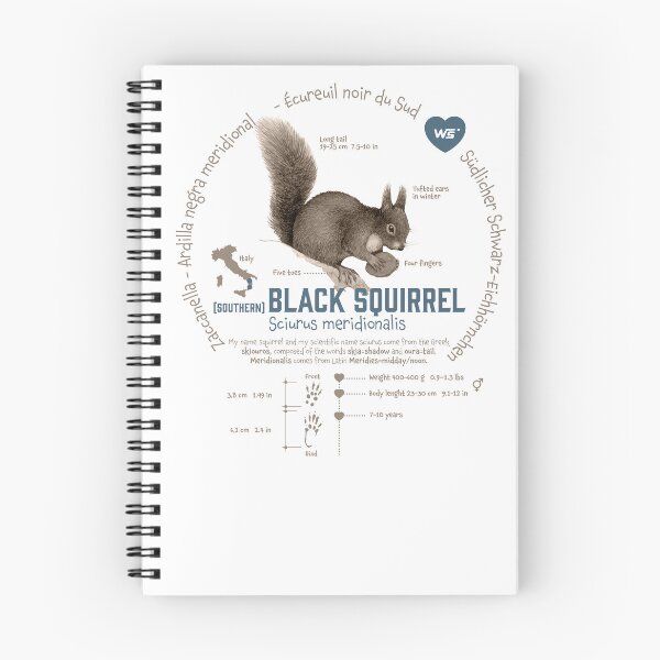 Item preview, black squirrel designed and sold by waldraws.