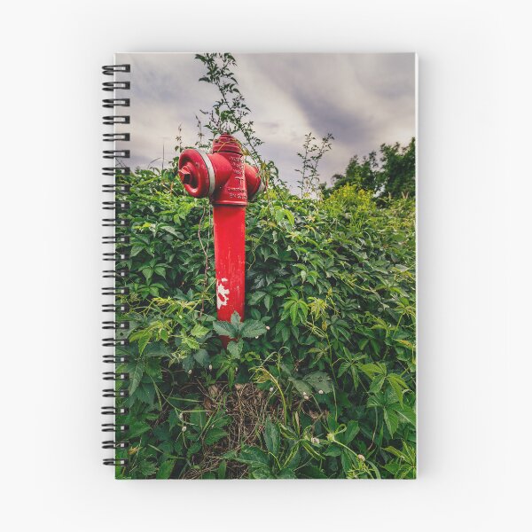 Item preview, Red Fire Hydrant Swallowed by Wild Greenery — Nature Photography Print designed and sold by Rabee Khalil Photography.