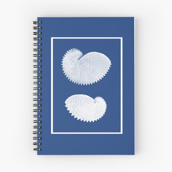 Item preview, Sea Shell Cyanotype designed and sold by annamelley.