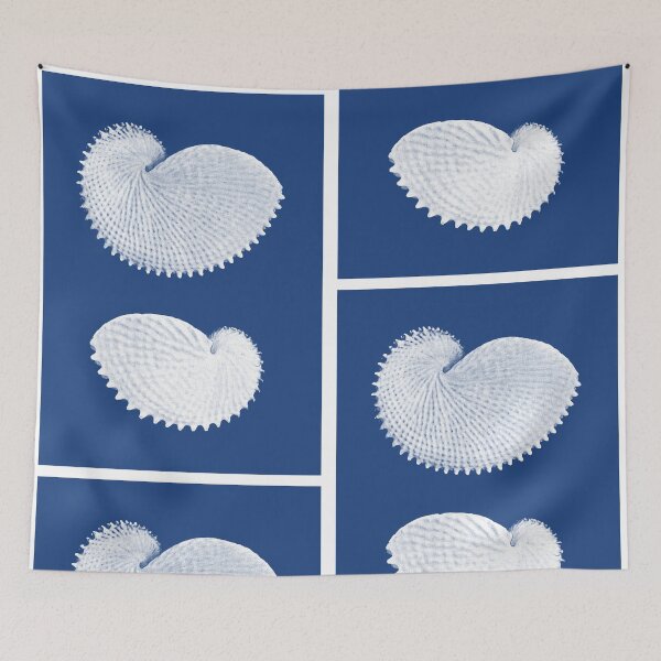 Item preview, Sea Shell Cyanotype designed and sold by annamelley.