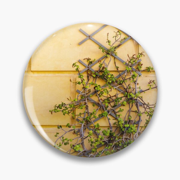 Item preview, Climbing Vine On Yellow Wall With Wooden Trellis Green Leaves Texture And Rustic Architectural Detail designed and sold by Nmallia.